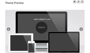 Neuro for WordPress Marisca Kenter
