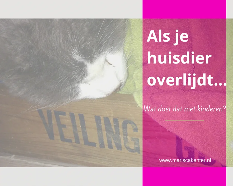 Een huisdier dat overlijdt, wat doet dat met kinderen?