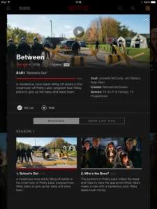 Netfilx only, between, serie, review, blog, mamablogger, mama blogger