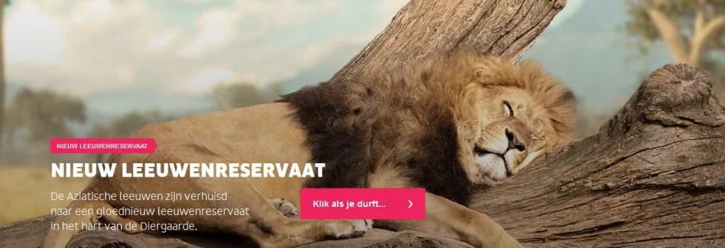 ‘Leeuw’ in je achternaam? Gratis naar Blijdorp!