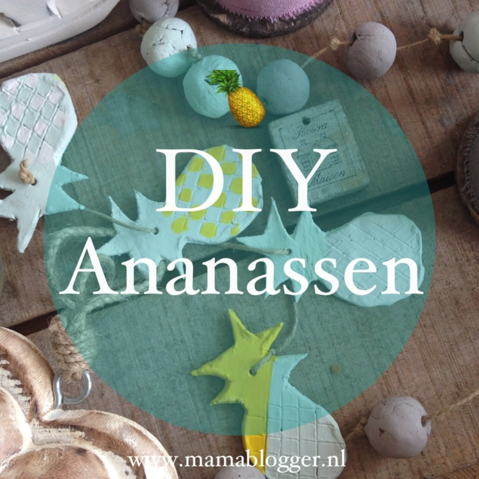 DIY budget| Ananas woonketting en hangers!