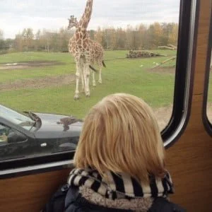 beekse bergen-little people- maand-verslag-mamablogger- mama blogger-1