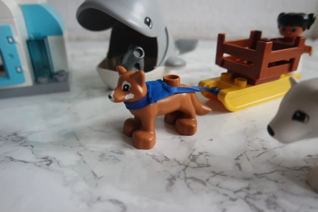 Duplo_cadeau_review_nieuwe_sets_poolgebied
