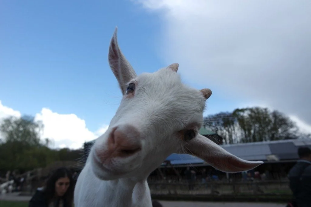Photodiary | Wat een heerlijk weekend!