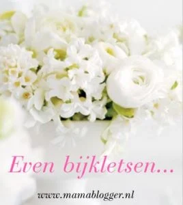Even_bijkletsen_mamablogger_persoonlijk_werk_