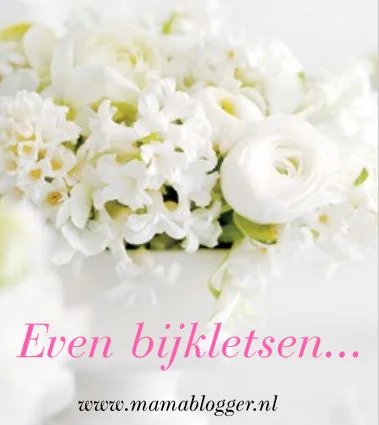 Even_bijkletsen_mamablogger_persoonlijk_werk_