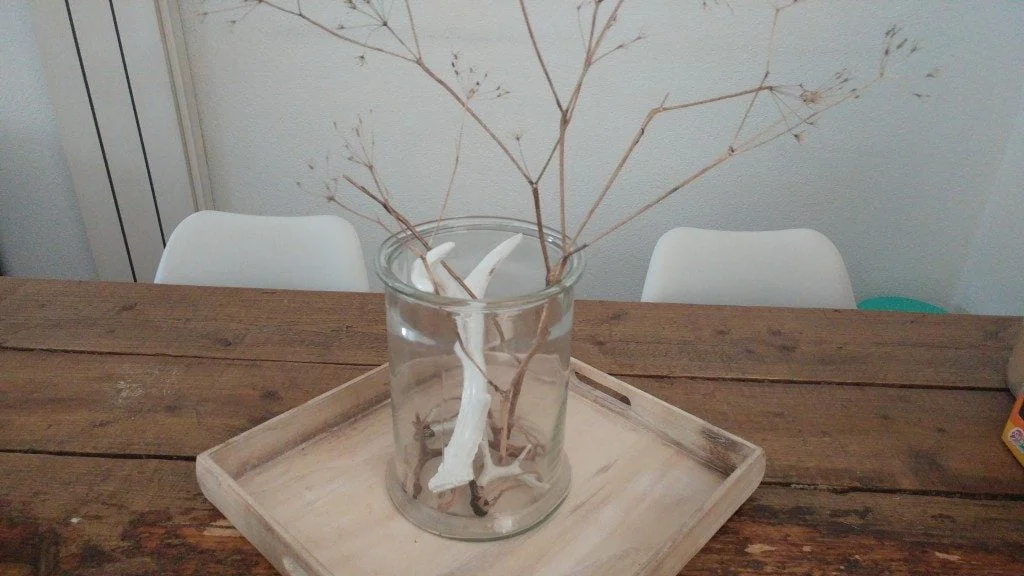 hoorns_action_interieur_trend_najaar 2016_mamablogger_tip_budget_