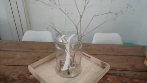 hoorns_action_interieur_trend_najaar 2016_mamablogger_tip_budget_