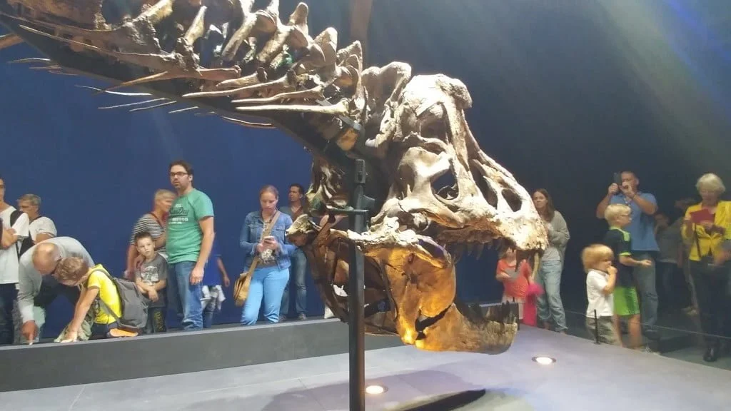 t-rex_trix_naturalis_review_winactie_mamablogger_