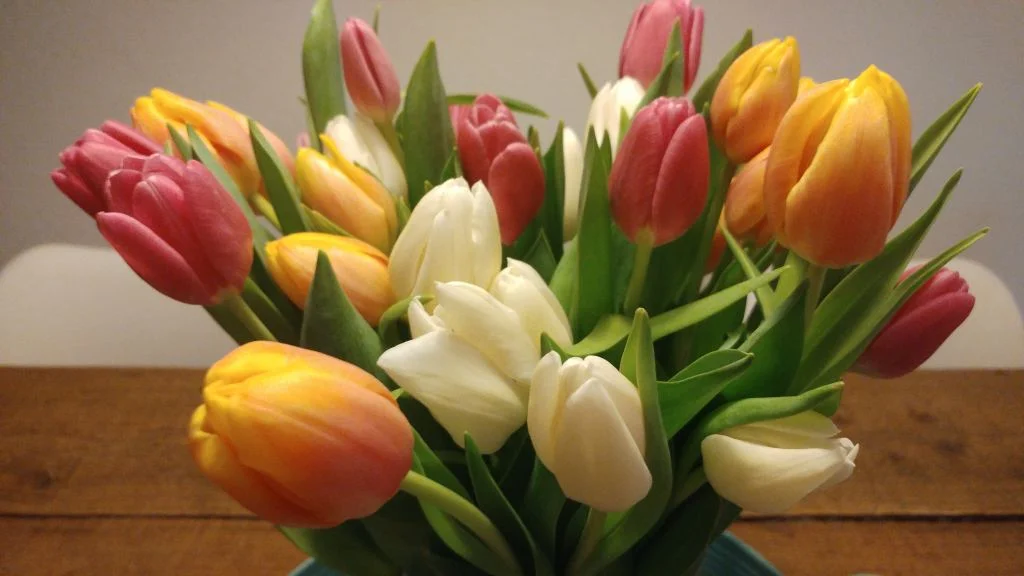 Tulpen_persoonlijk_milan_verjaardag_milan_