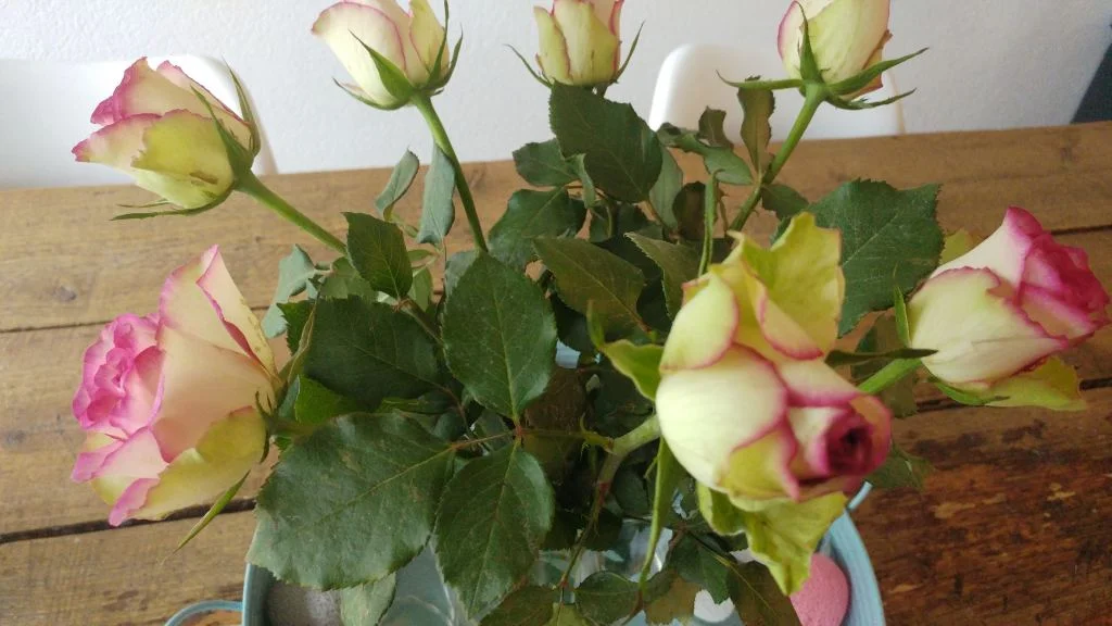 diary_mamablogger_persoonlijk_week 7_
