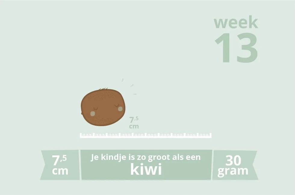zwangerschapsupdate_week 13_mamablogger_persoonlijk_zwanger_