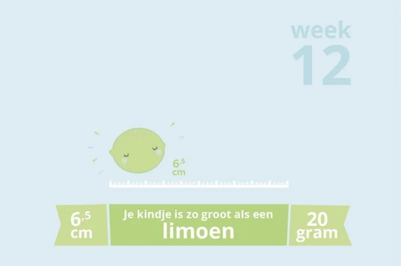 zwangerschapsupdate_week 12_mamablogger_zwanger_update_baby_