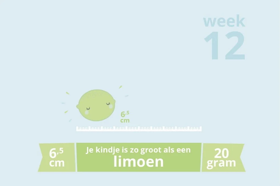 zwangerschapsupdate_week 12_mamablogger_zwanger_update_baby_