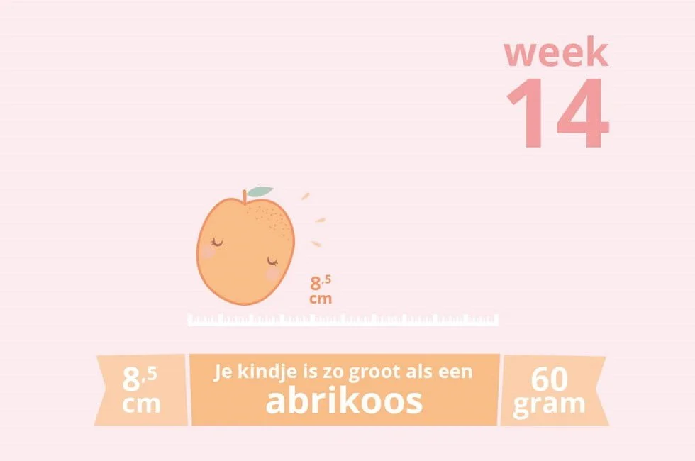 zwanger_week 14_mamablogger_marisca_mama_blog_zwangerschapsupdate_