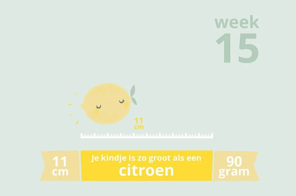 zwangerschapsupdate_auto_ongeluk_week 15_mamablogger_zwanger_baby_