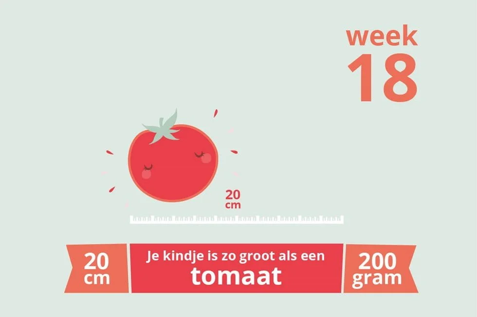 Zwangerschapsupdate #10 | Week 18! Andere naam, babykamer en aangekomen…