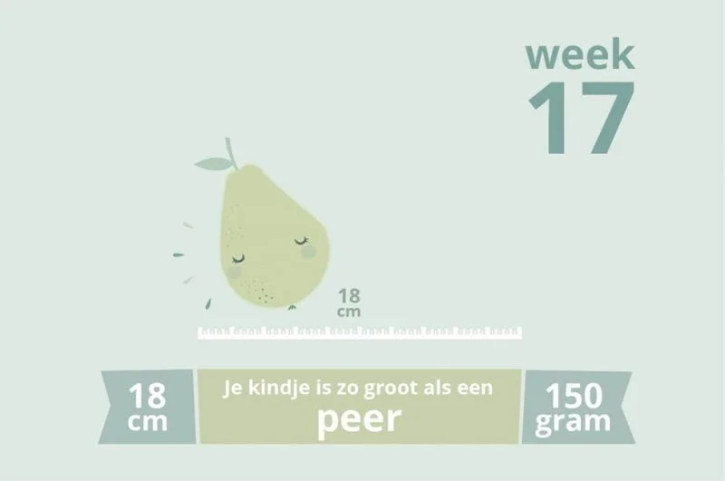 zwangerschapsupdate_week 17_echo_mamablogger_