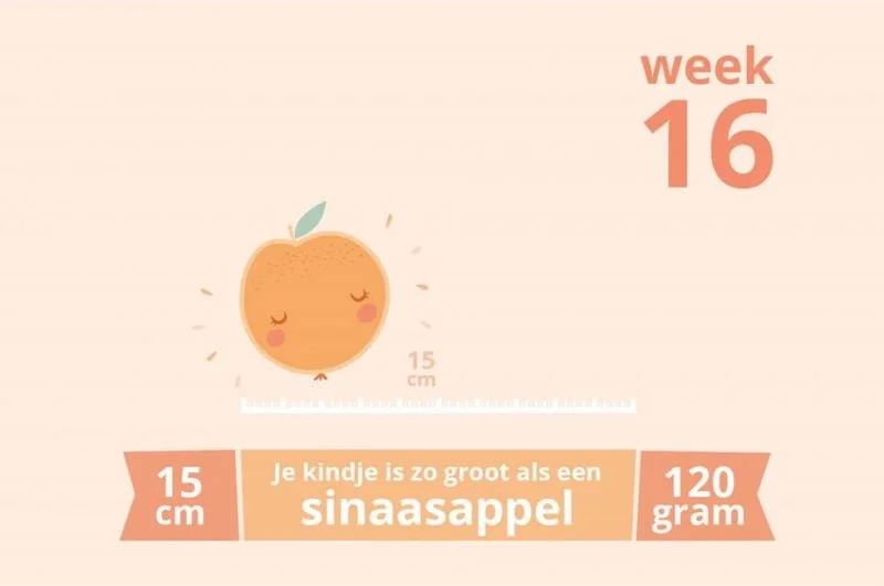 zwangerschapsupdate_echo_geslacht_jongetje_mamablogger_