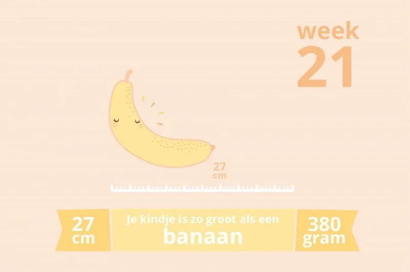 zwangerschapsupdate_zwanger_baby_week 21_mamablogger_mamablog_