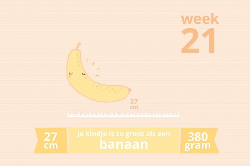 zwangerschapsupdate_zwanger_baby_week 21_mamablogger_mamablog_