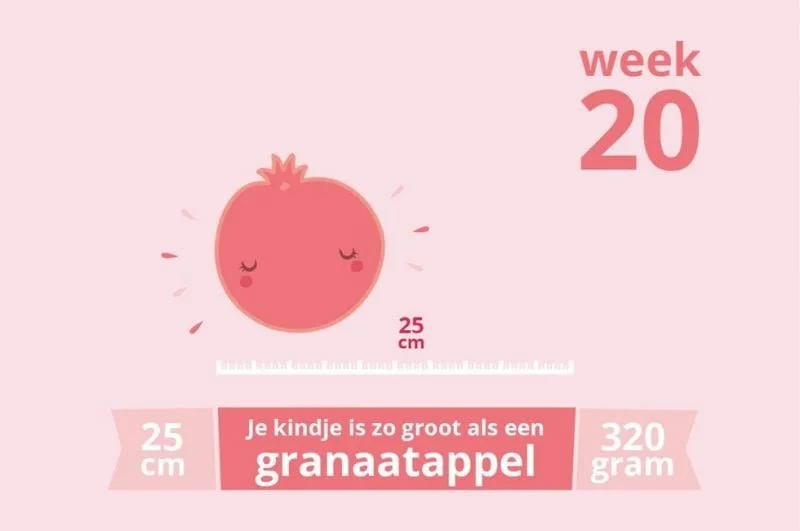 zwangerschapsupdate_week 20_mamablogger_zwanger_baby_