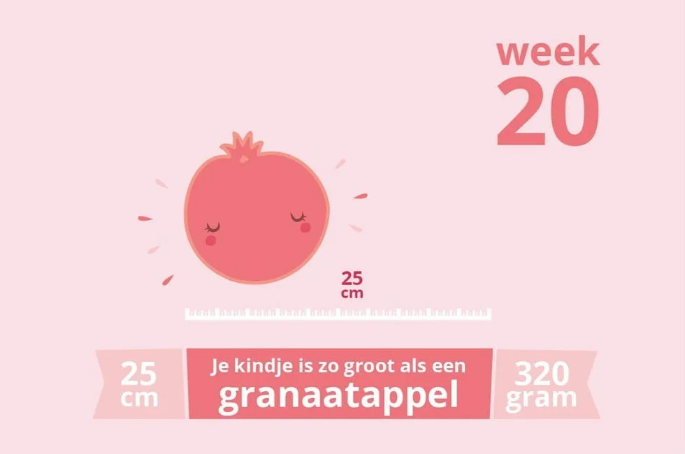 zwangerschapsupdate_week 20_mamablogger_zwanger_baby_