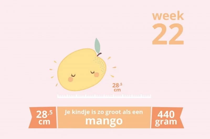 zwangerschapsupdate_week 22_mamablogger_zwanger_baby_marisca_blogger_