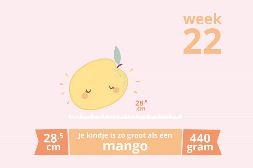 zwangerschapsupdate_week 22_mamablogger_zwanger_baby_marisca_blogger_