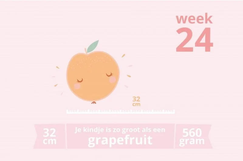 zwangerschapsupdate_week 24_mamablogger_vrije dagen_suik prikken_zwanger_