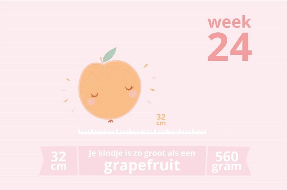 zwangerschapsupdate_week 24_mamablogger_vrije dagen_suik prikken_zwanger_