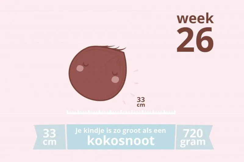 zwangerschapsupdate_week 26_mamablogger_verloskundige_blogger_mama_baby_zwanger_marisca_
