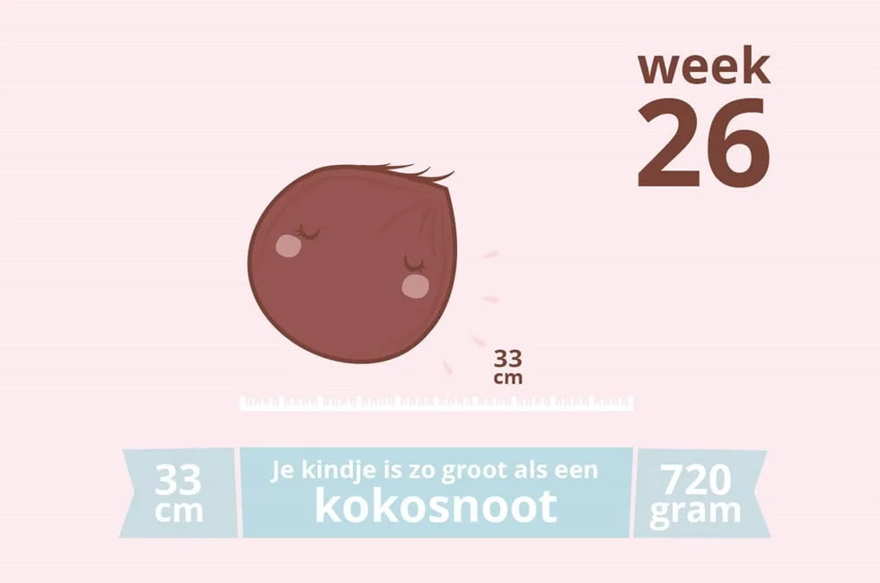 zwangerschapsupdate_week 26_mamablogger_verloskundige_blogger_mama_baby_zwanger_marisca_