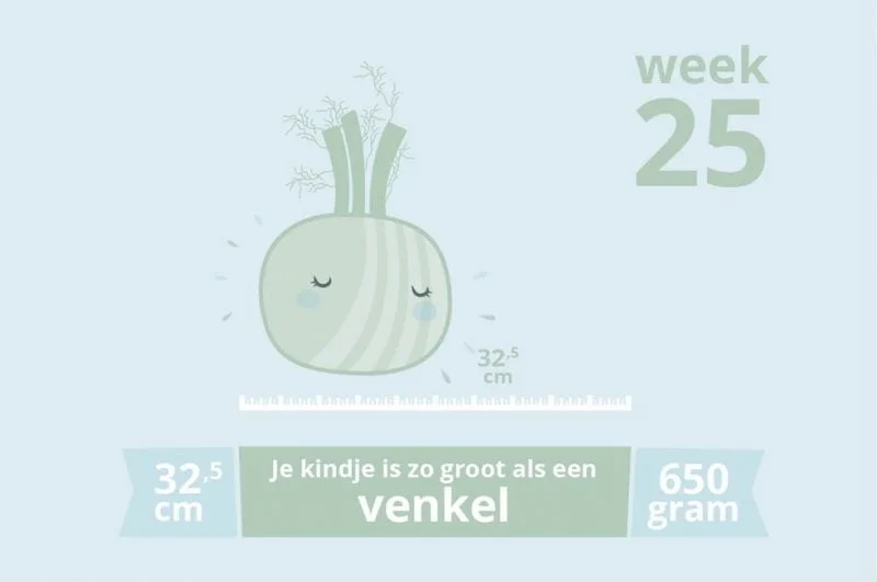 zwangerschapsupdate_week 25_mamablogger_zwanger_baby_mama_marisca_persoonlijk_