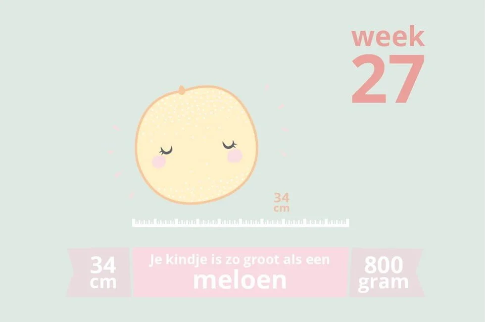zwangerschapsupdate_week 27_mamablogger_zwanger_baby_