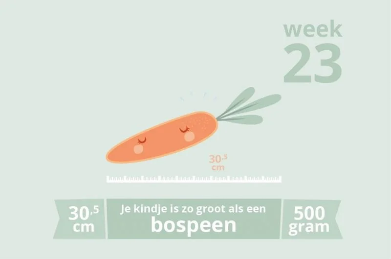 zwangerschapsupdate_mamablogger_zwanger_week 23_baby_