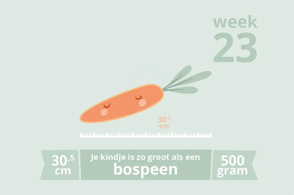 zwangerschapsupdate_mamablogger_zwanger_week 23_baby_
