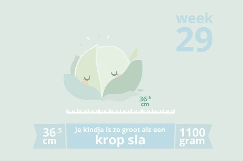 zwangerschapsupdate_mamablogger_zwanger_week 29_mamablogger_marisca_baby_verloskundige_week 29_