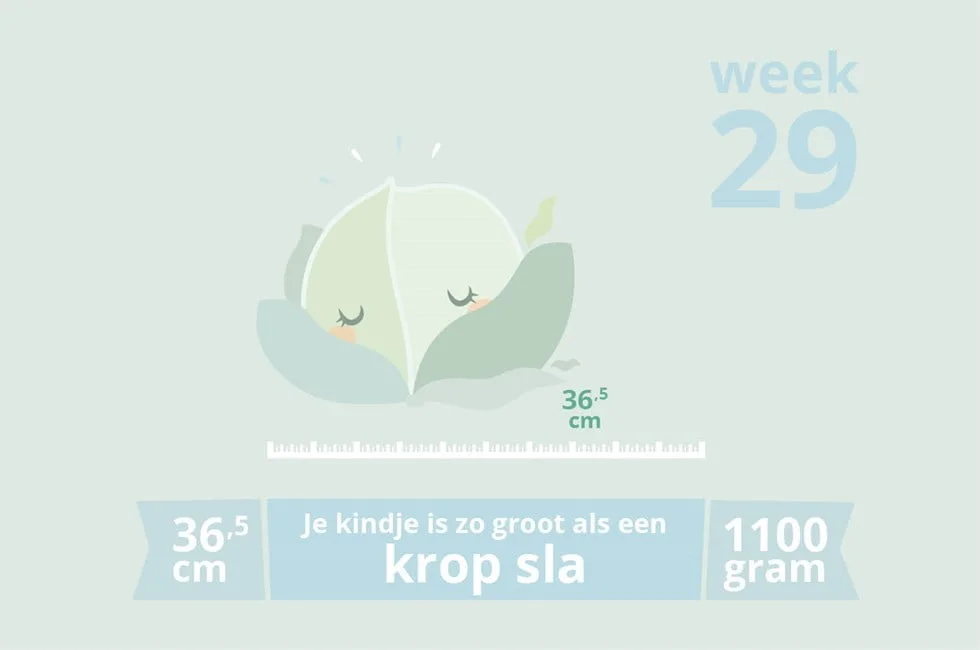 zwangerschapsupdate_mamablogger_zwanger_week 29_mamablogger_marisca_baby_verloskundige_week 29_