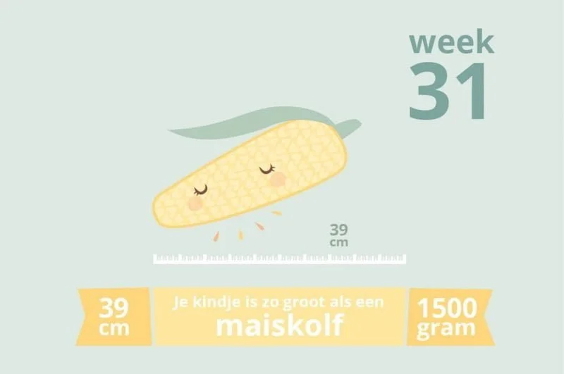 zwangerschapsupdate_week 31_mamablogger_zwanger_baby_marisca_