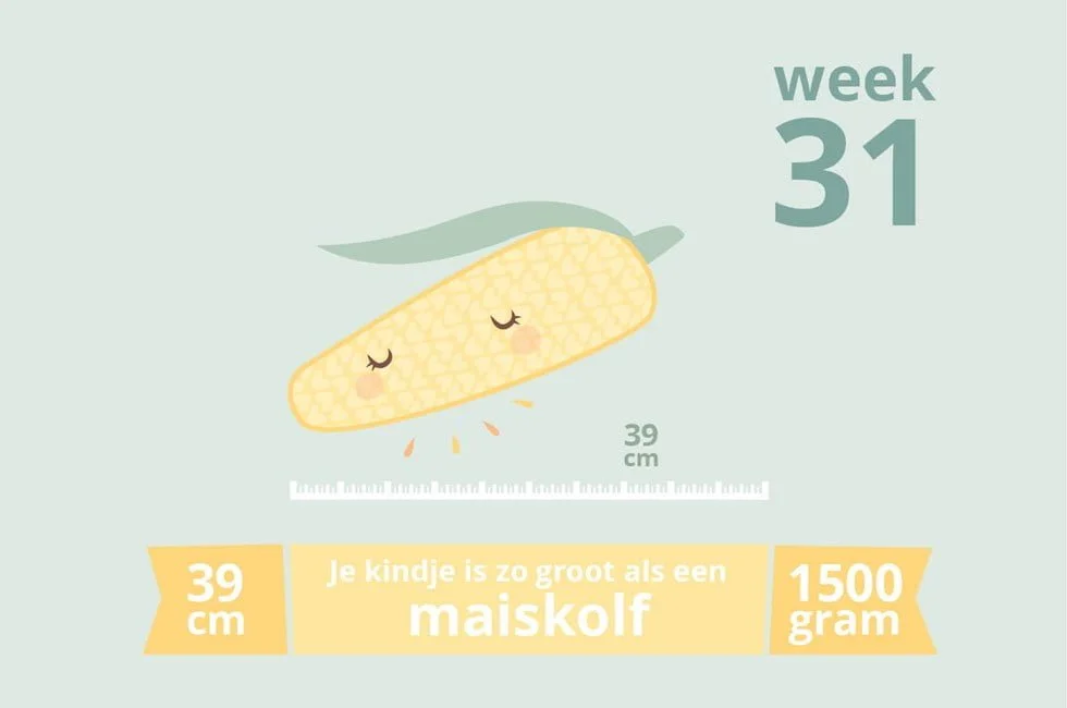zwangerschapsupdate_week 31_mamablogger_zwanger_baby_marisca_