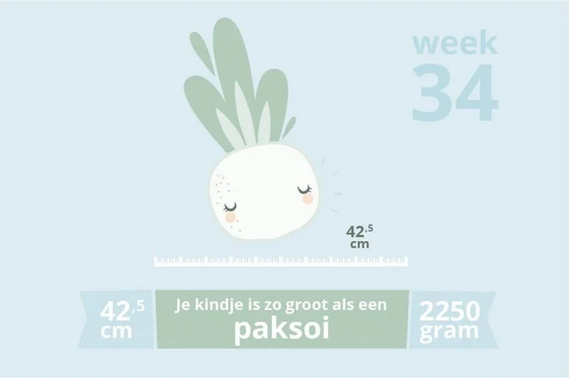 zwangerschapsupdate_week 34_zwanger_mamablogger_marisca_baby_