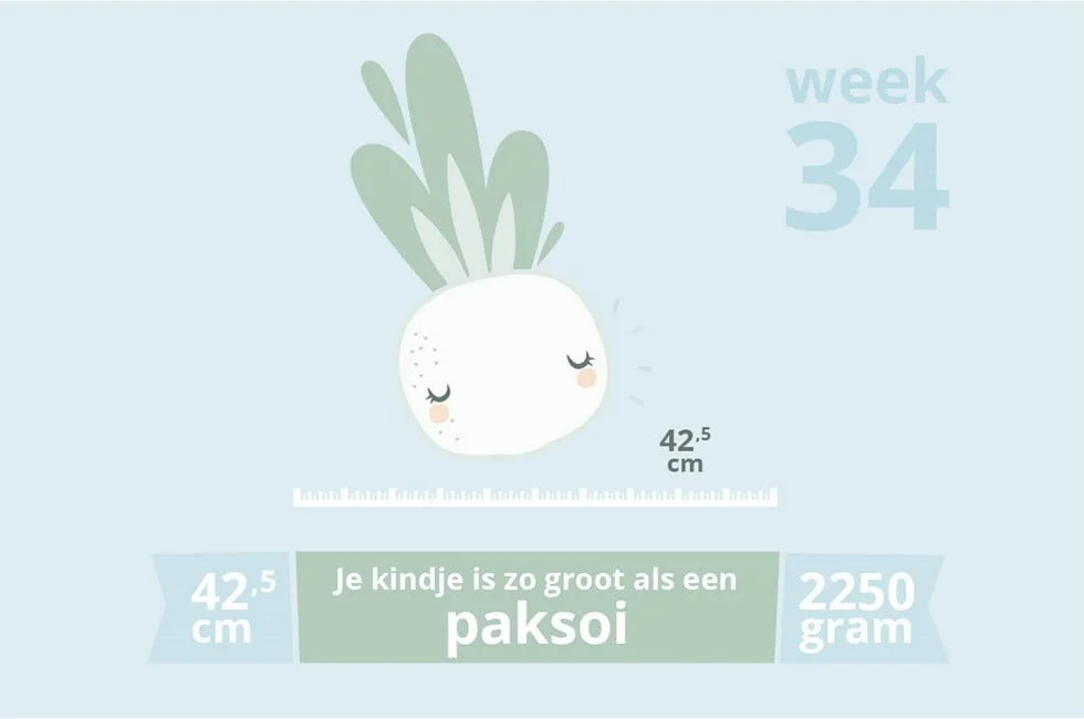 zwangerschapsupdate_week 34_zwanger_mamablogger_marisca_baby_