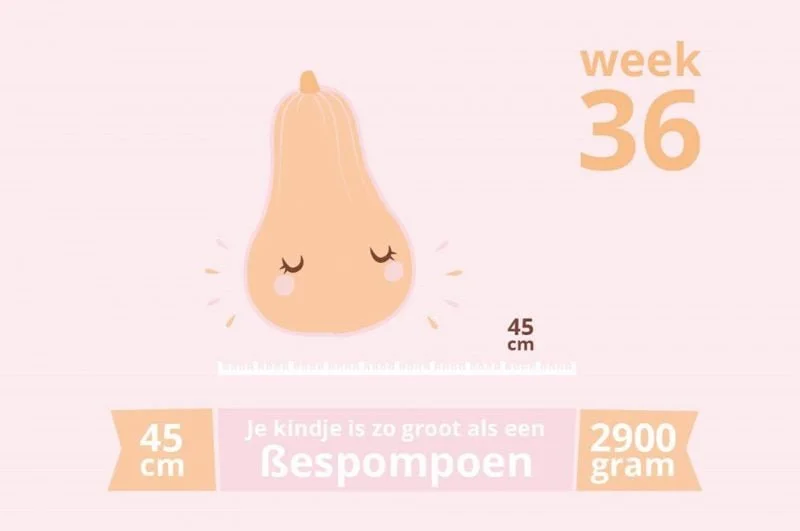 zwangerschapsupdate #28_week 36_ 36 weken zwanger_mamablogger_baby_zwanger_