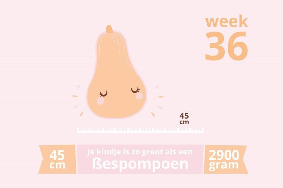 zwangerschapsupdate #28_week 36_ 36 weken zwanger_mamablogger_baby_zwanger_