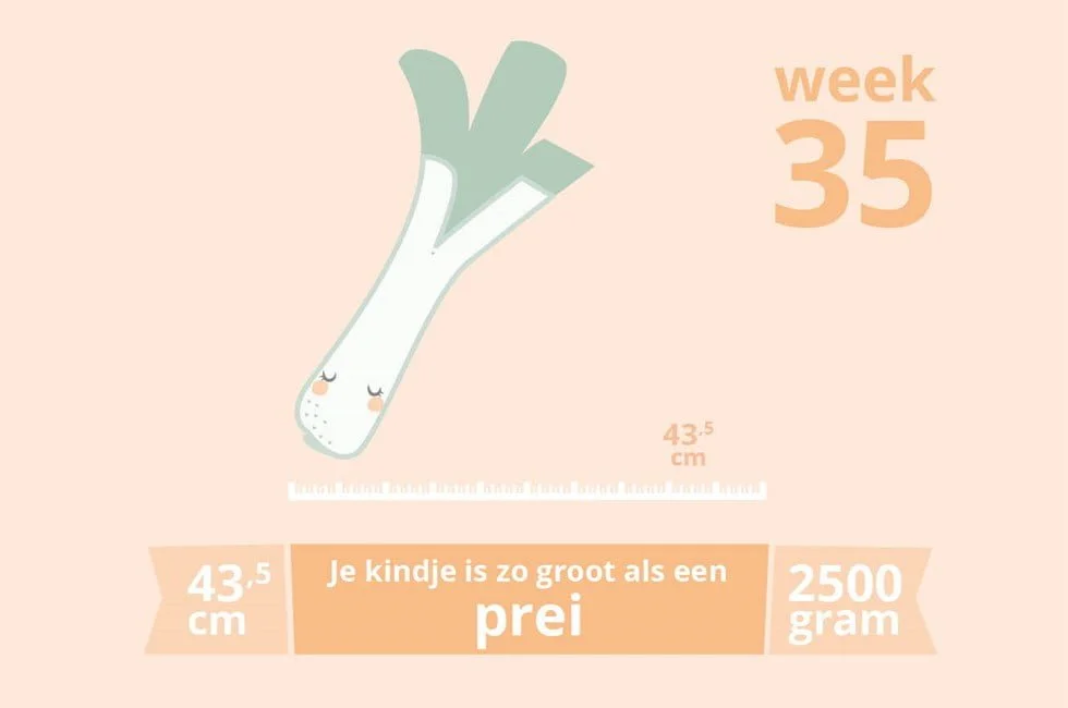zwangerschapsupdate_week 35_zwanger_baby_babykamer_marisca_