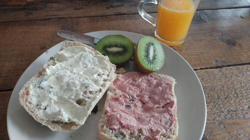 verlof_diary_mamablogger_marisca_zwanger_bloggen_zwangerschapsverlof_