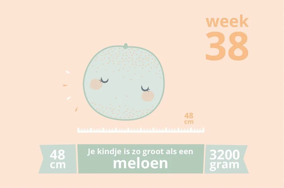 zwangerschapsupdate 30_zwanger_mamablogger_marisca_