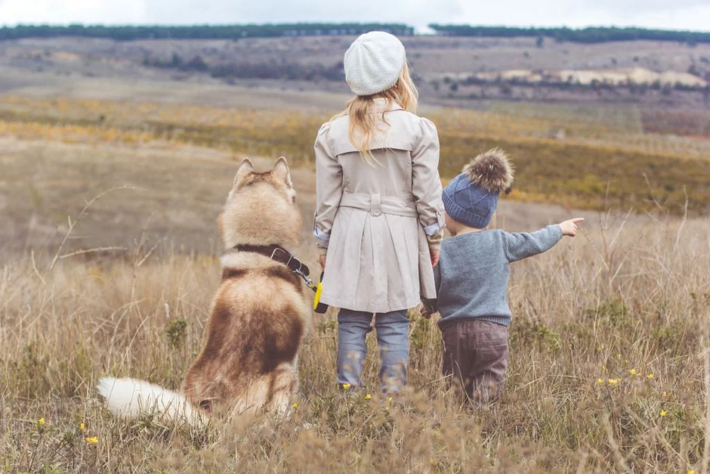 Leuke kinderkleding voor weinig