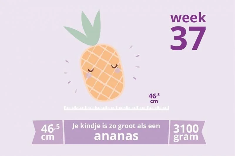 zwangerschapsupdate_week 37_mamablogger_marisca_zwanger_baby_verloskundige_